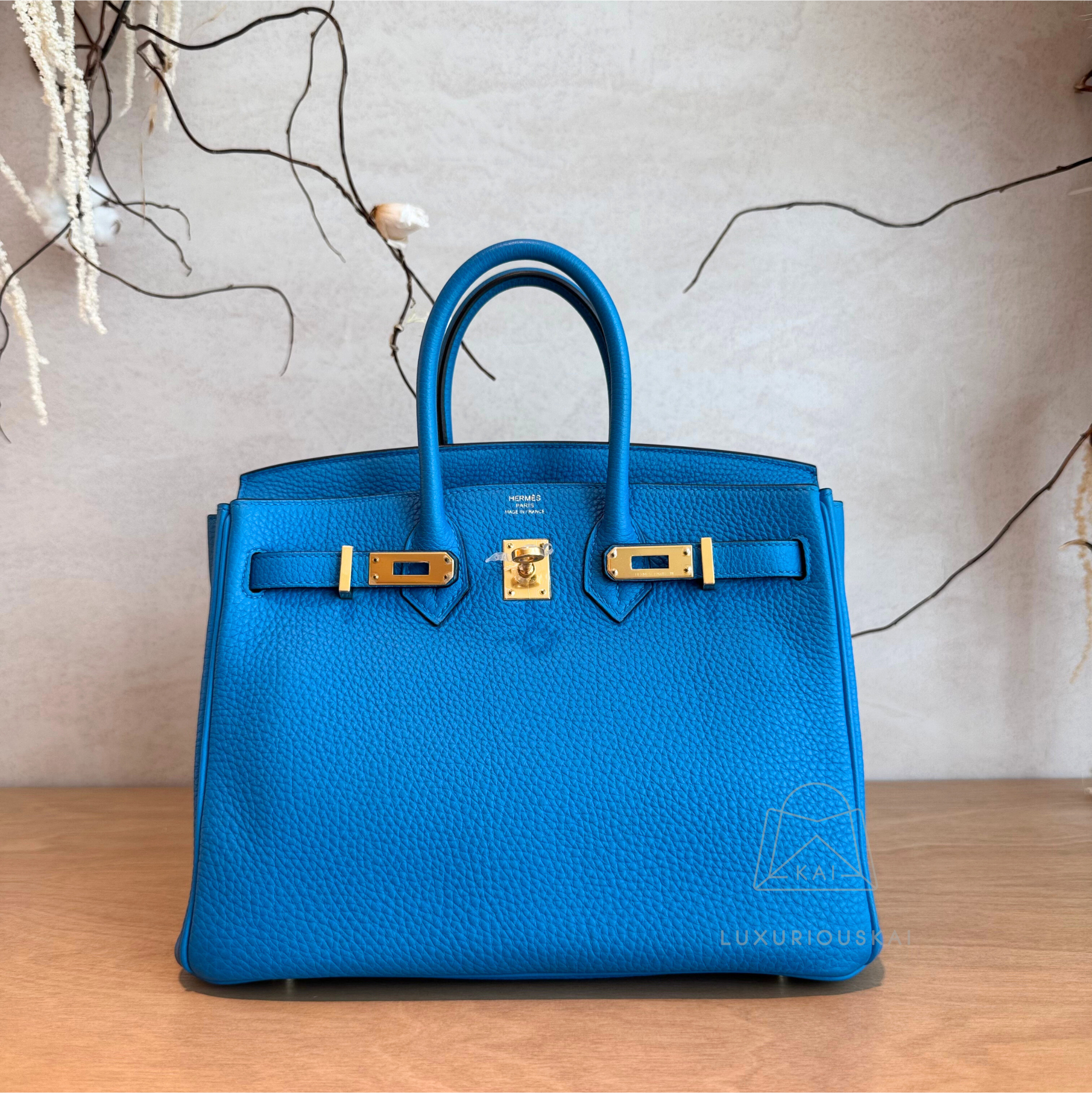 [PRELOVED] Hermès Birkin 25 Zanzibar (Gold Hardware)