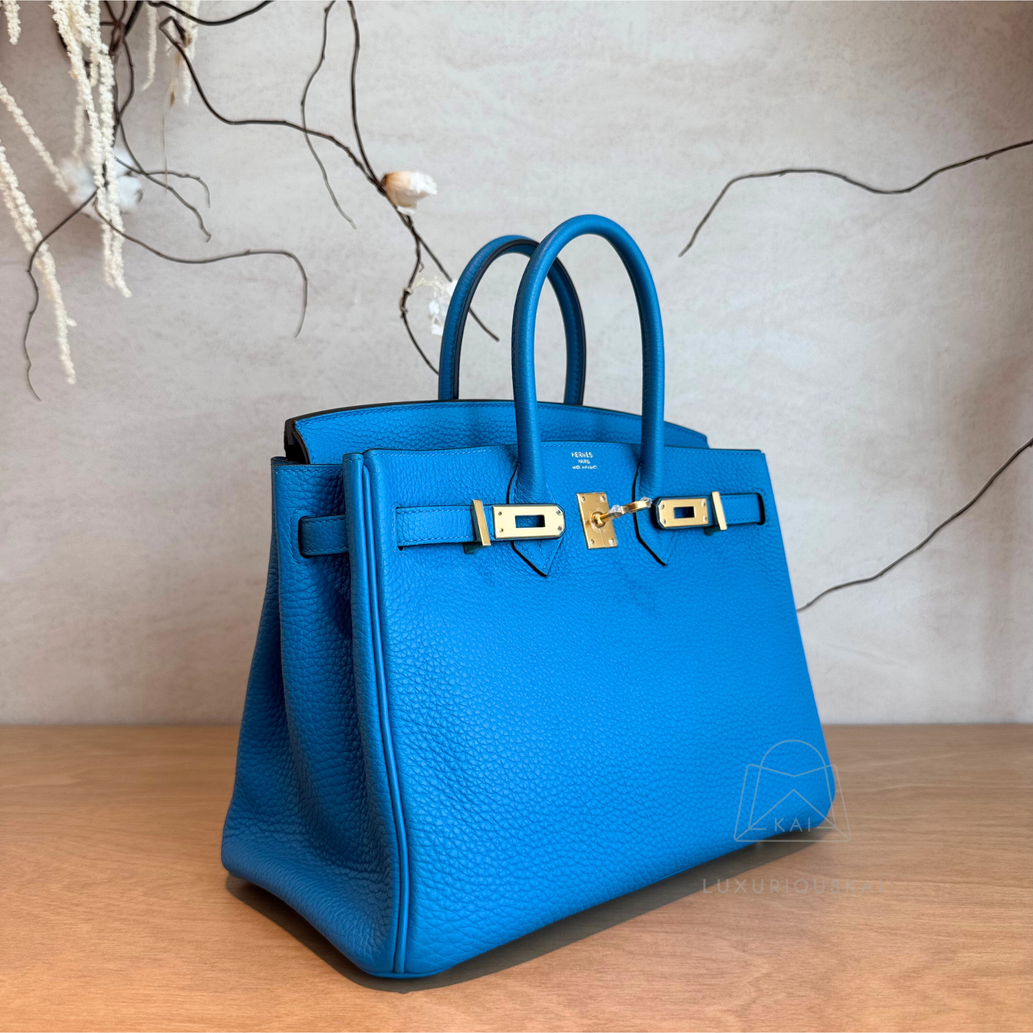 [PRELOVED] Hermès Birkin 25 Zanzibar (Gold Hardware)