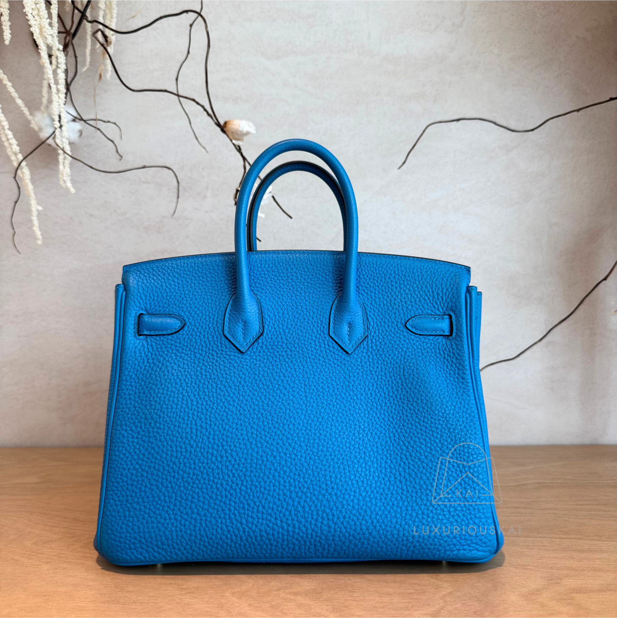 [PRELOVED] Hermès Birkin 25 Zanzibar (Gold Hardware)