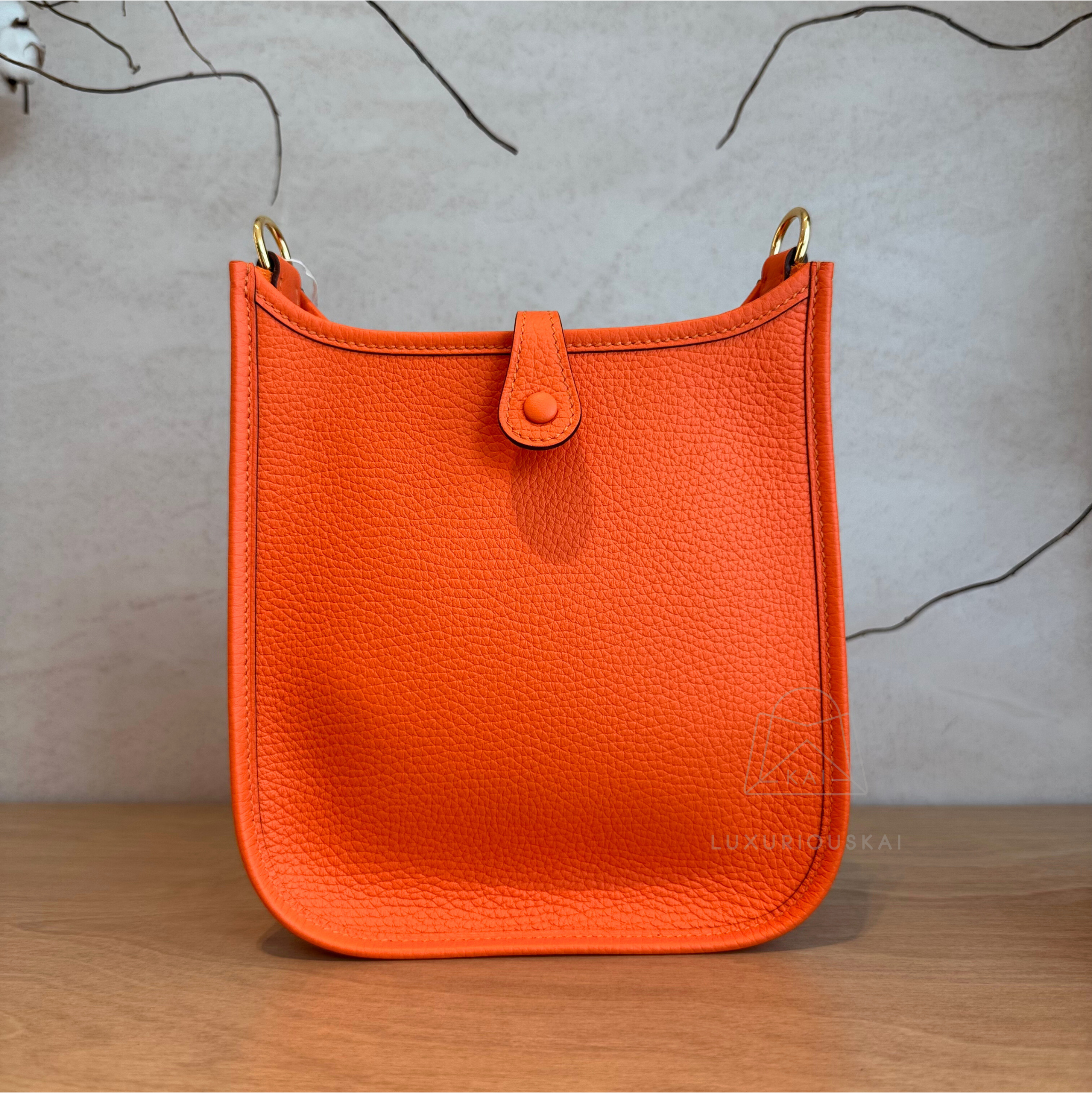Hermès Mini Evelyne Feu (Gold Hardware)