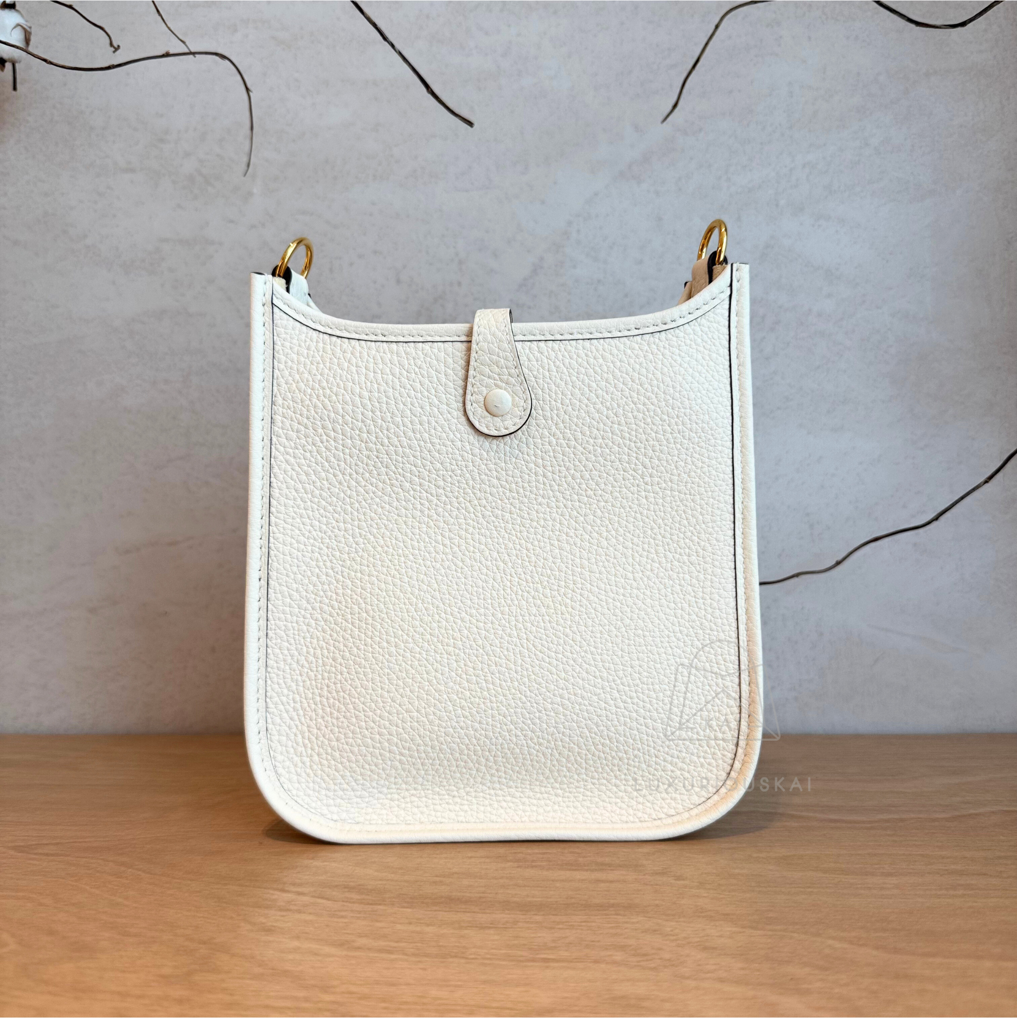 Hermès Mini Evelyne Nata (Gold Hardware)