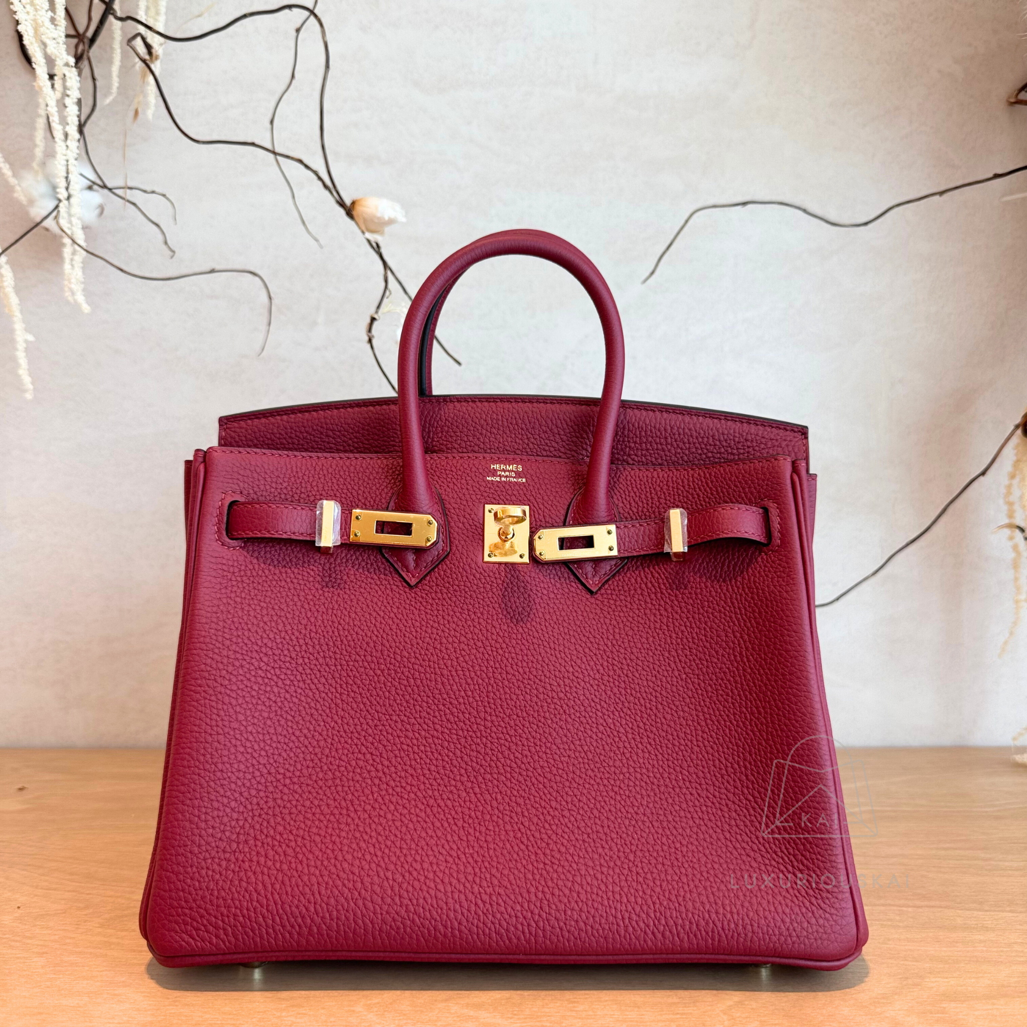 Hermès Birkin 25 Rouge Grenate (Gold Hardware)