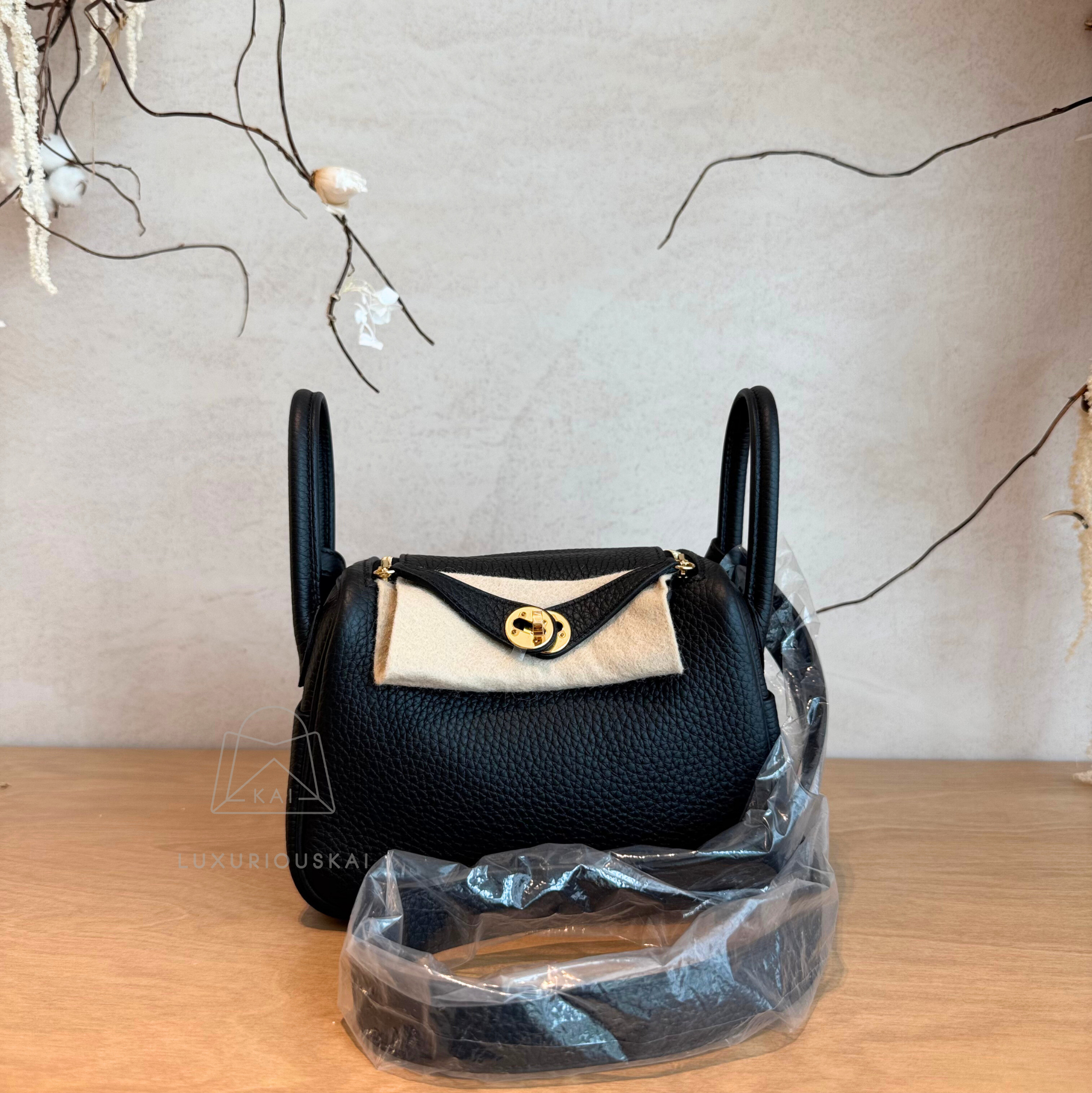 Hermès Mini Lindy 2 Black (Gold Hardware)
