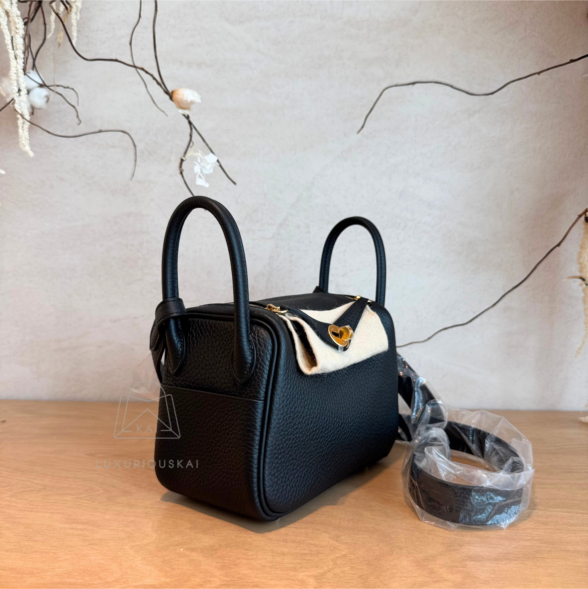 Hermès Mini Lindy 2 Black (Gold Hardware)