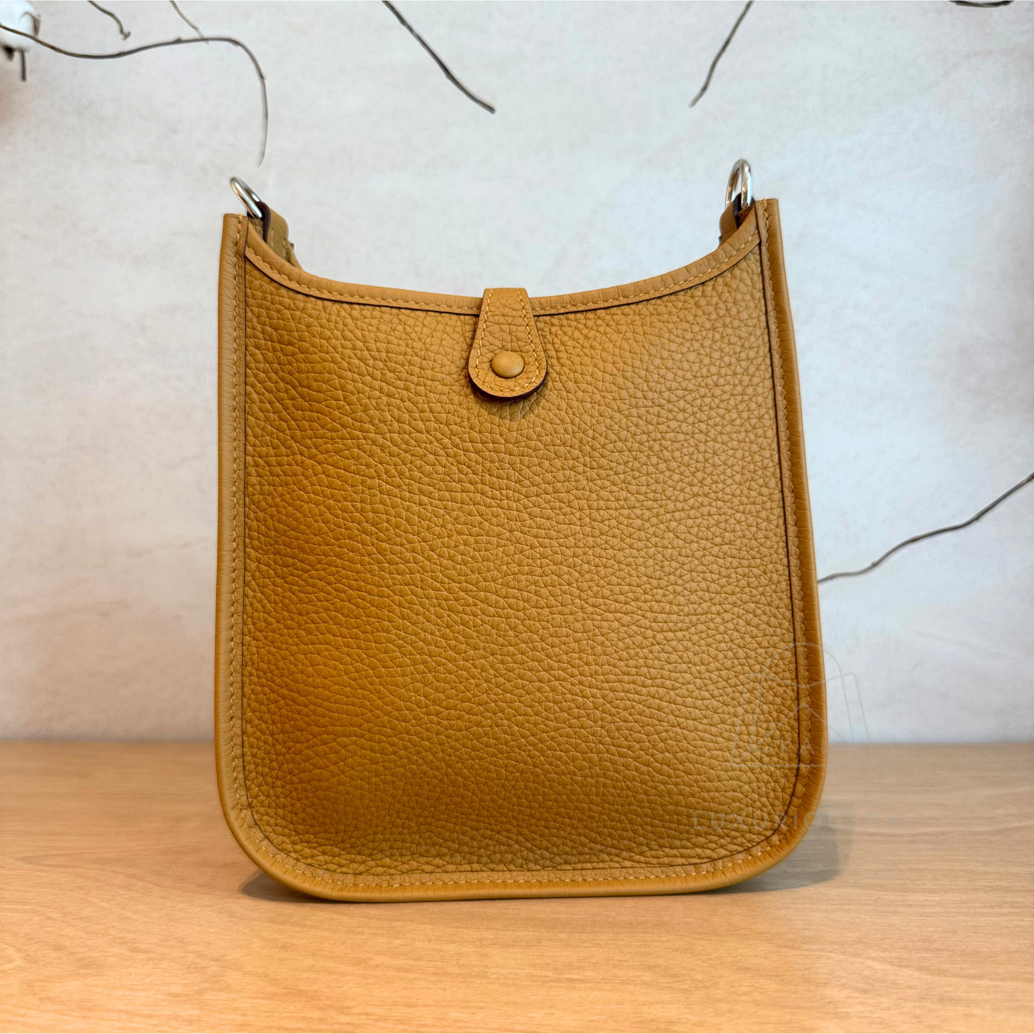 Hermès Mini Evelyne Sesame (Palladium Hardware) with Amazon Strap
