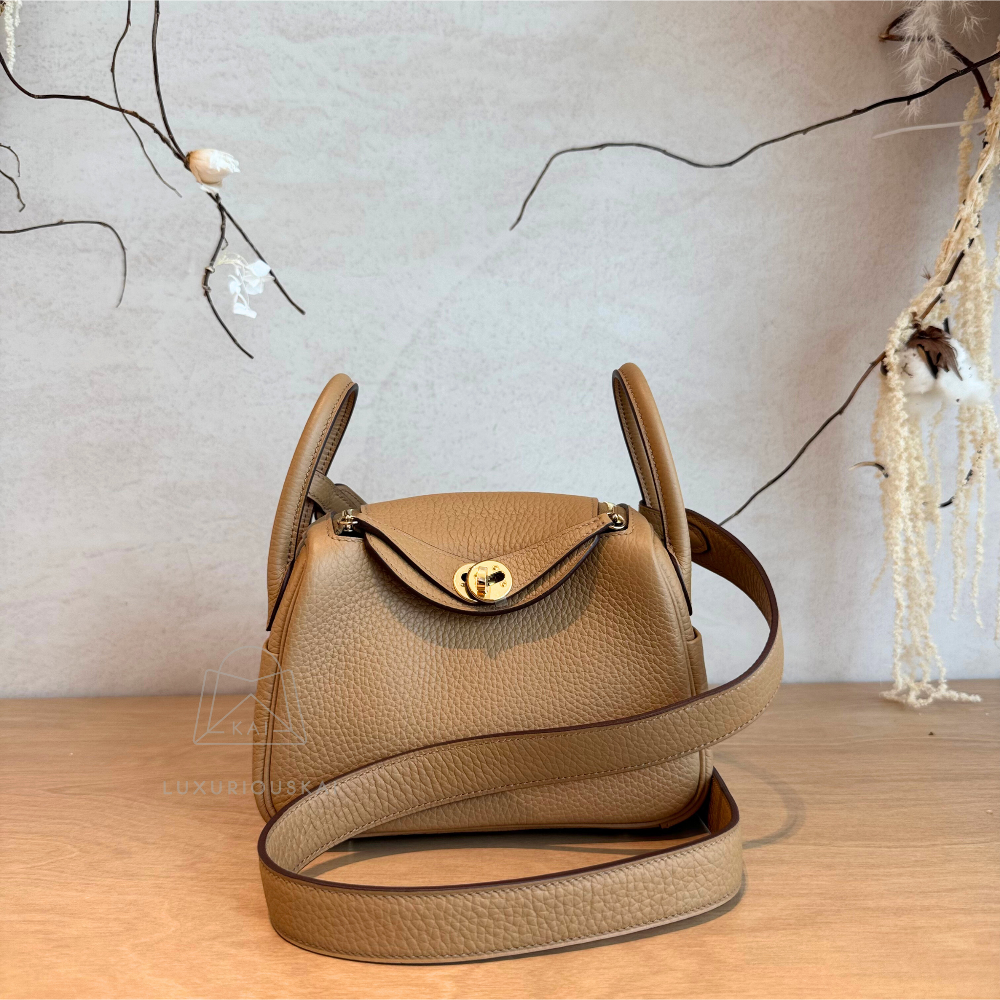 Hermès Mini Lindy Biscuit (Gold Hardware)