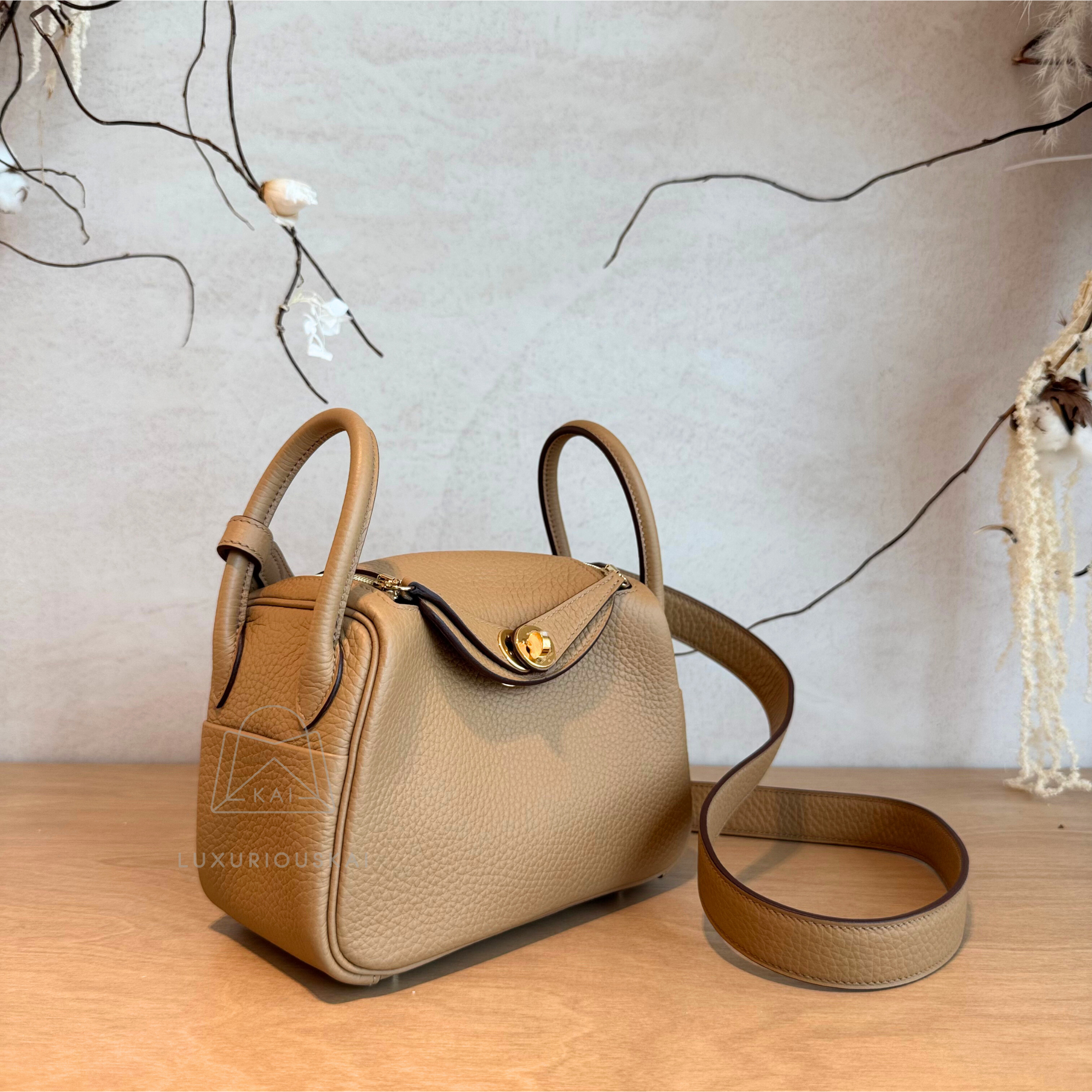 Hermès Mini Lindy Biscuit (Gold Hardware)
