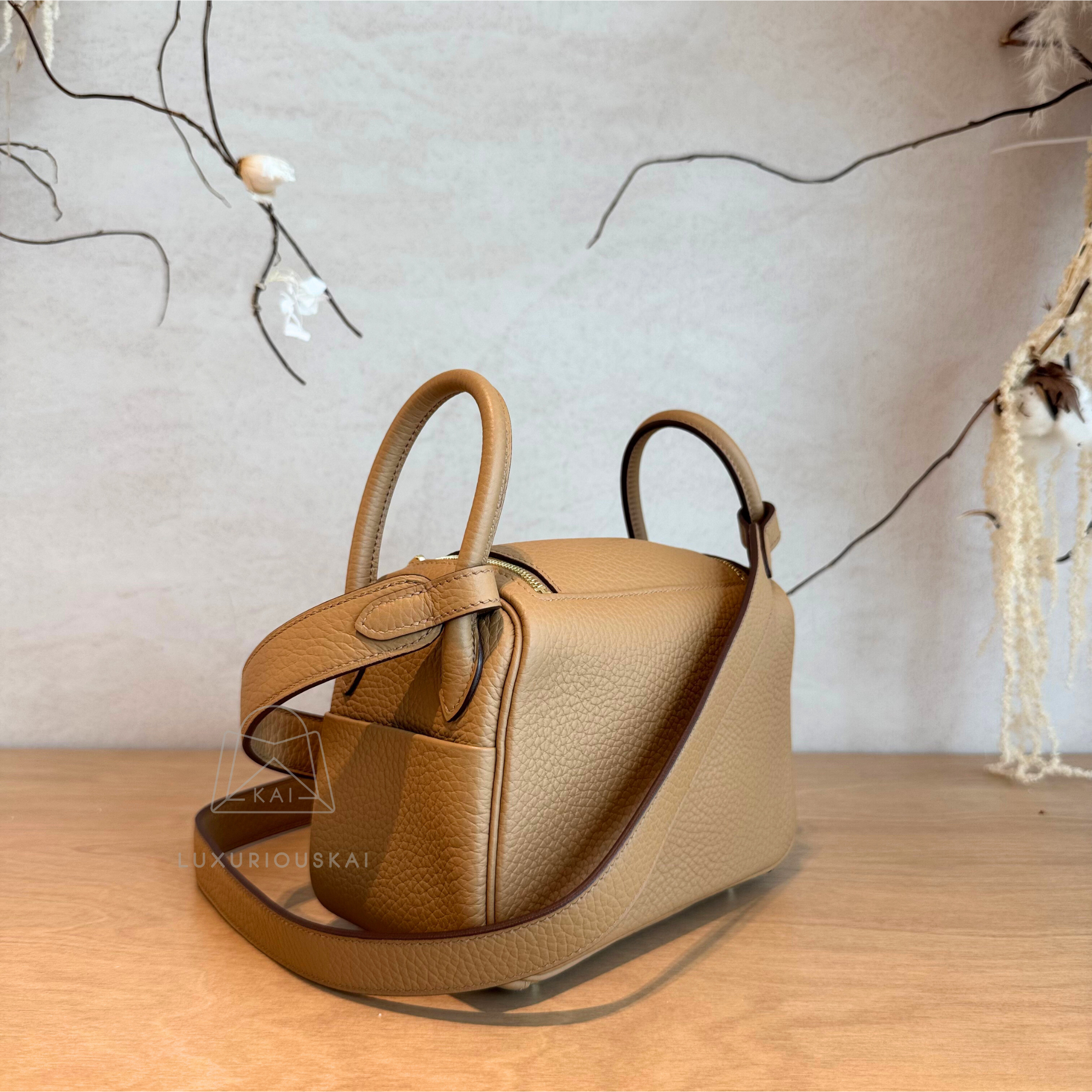 Hermès Mini Lindy Biscuit (Gold Hardware)