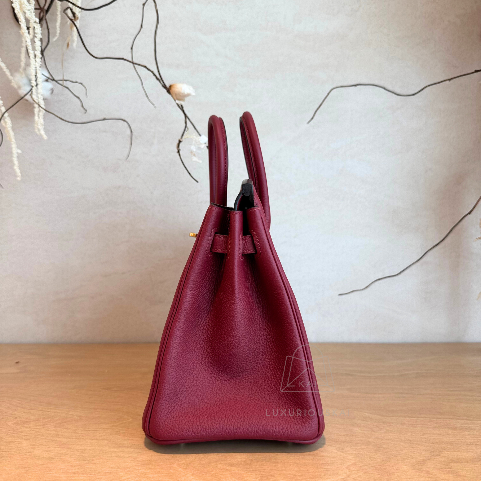 Hermès Birkin 25 Rouge Grenate (Gold Hardware)