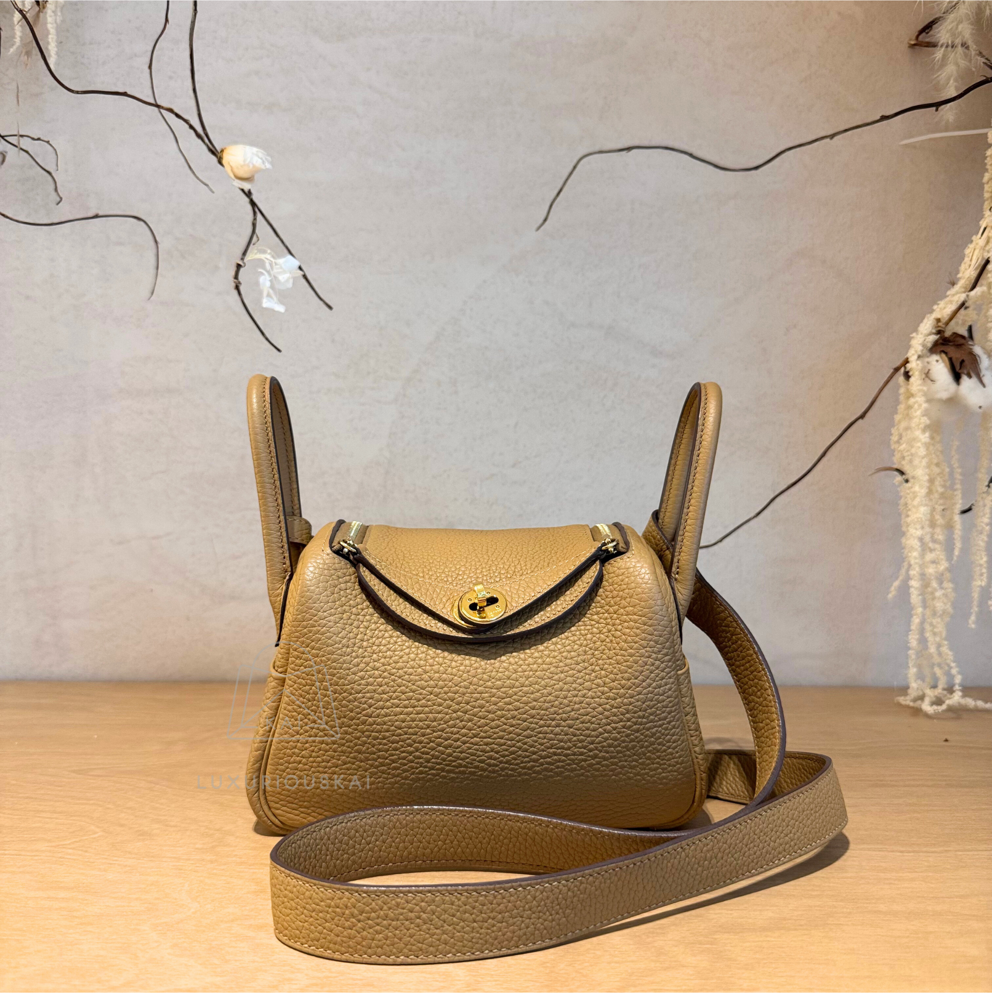 [PRELOVED] Hermès Mini Lindy Biscuit (Gold Hardware)